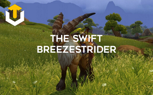 The Swift Breezestrider Mount Boost