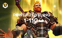 Character Leveling